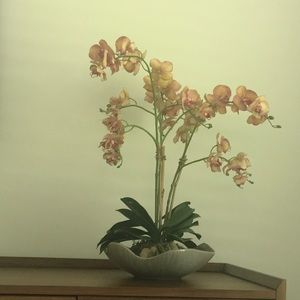 Meet your Posher, Mireille